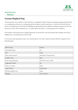 German Shepherd Dog Information Pack