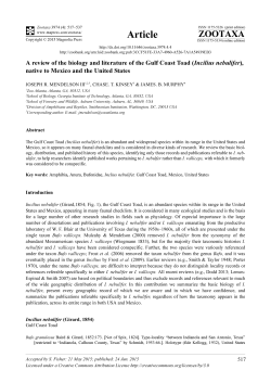 Full article - Magnolia press