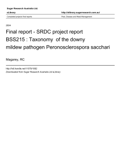 Final report - SRDC project report BSS215 : Taxonomy of the downy