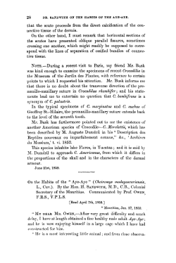 On the Habits of the AyeAye (Cheiromys madagascariensis, L., Cuv.).