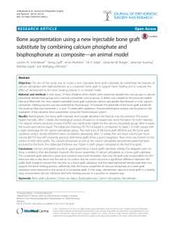 Bone augmentation using a new injectable bone graft substitute by