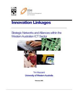 Innovation Linkages: Strategic Networks and Alliances within the