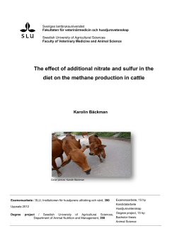 The effect of additional nitrate and sulfur in the diet on the