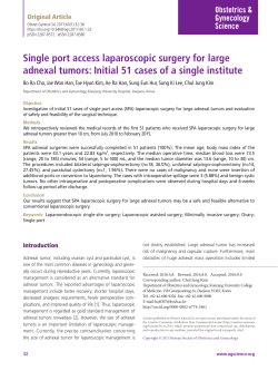 Single port access laparoscopic surgery for large adnexal tumors