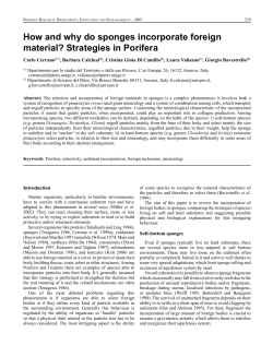 How and why do sponges incorporate foreign material?