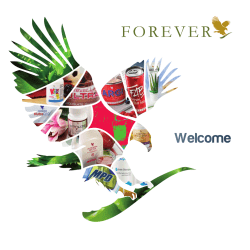 AF FOLLETO BIENVENIDA ENG _ 21-08-13.indd