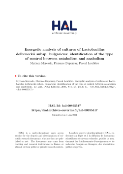 Energetic analysis of cultures of Lactobacillus delbrueckii