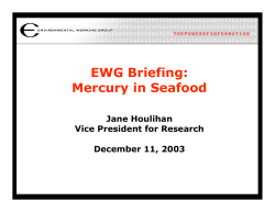 EWG Briefing: Mercury in Seafood