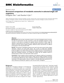 Structural comparison of metabolic networks in selected single cell