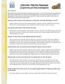 Marine Mammals
