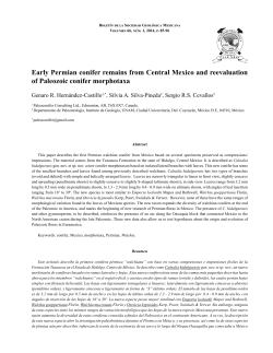 Early Permian conifer remains from Central Mexico and reevaluation