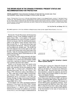 THE BROWN BEAR IN THE SPANISH PYRENEES: PRESENT