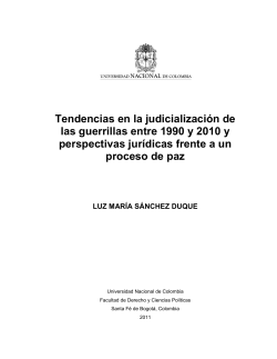 amnist&iacute;a e indulto - Universidad Nacional de Colombia