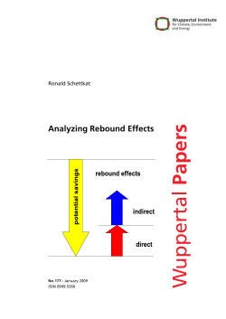 Analyzing Rebound Effects