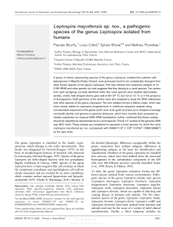 Leptospira mayottensis sp. nov., a pathogenic species of the genus