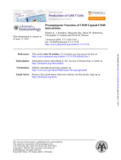 Interactions Proangiogenic Function of CD40 Ligand-CD40