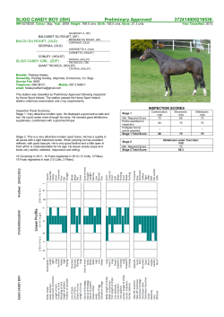 SLIGO CANDY BOY - Horse Sport Ireland