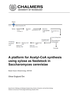 A platform for Acetyl-CoA synthesis using xylose as feedstock in