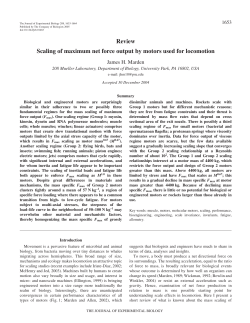 Review Scaling of maximum net force output by motors used for