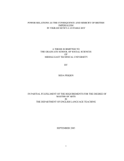 i POWER RELATIONS AS THE CONSEQUENCE AND MIMICRY OF