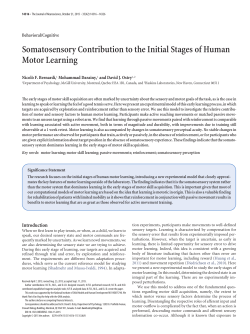 Somatosensory Contribution to the Initial Stages of Human Motor