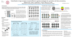 Examples from Stimulus Library