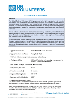 UNDP_DOA for Youth international UN Volunteer