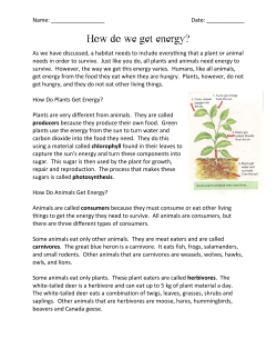 How do we get energy?