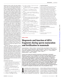 Biogenesis and function of tRNA fragments