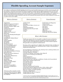 Flexible Spending Account Sample Expenses