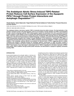 The Arabidopsis Abiotic Stress-Induced TSPO