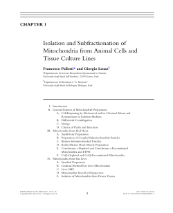 Isolation and Subfractionation of Mitochondria from Animal Cells
