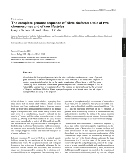The complete genome sequence of Vibrio cholerae: a tale of two