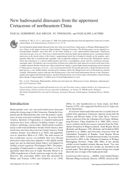 New hadrosaurid dinosaurs from the uppermost Cretaceous of