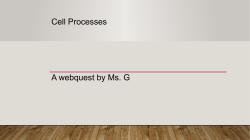 Cell Processes A webquest