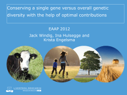 Conserving a single gene versus overall genetic diversity with the