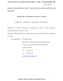 Hypotonic swelling increases L-type calcium channels in rabbit