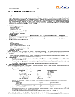 M1173-25,-100 EvoTM Reverse Transcriptase