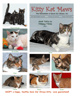 ADOPT a happy, healthy Save Our Strays Kitty. Love guaranteed!