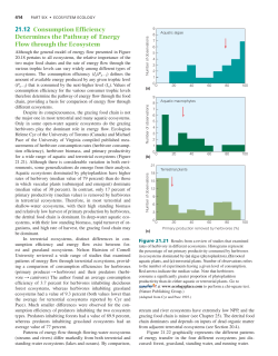 21.12 Consumption Efficiency Determines the Pathway