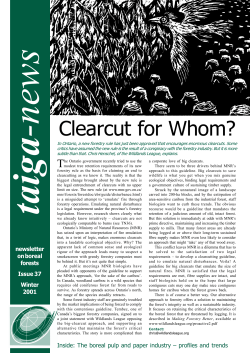 Clearcut for Whom?