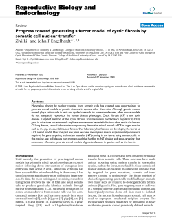Progress toward generating a ferret model of cystic fibrosis by