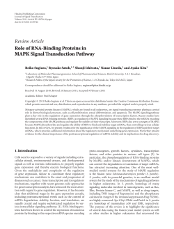 Role of RNA-Binding Proteins in MAPK Signal Transduction Pathway