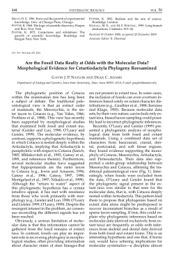 Are the Fossil Data Really at Odds with the