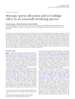 Strategic sperm allocation and a Coolidge effect in an externally