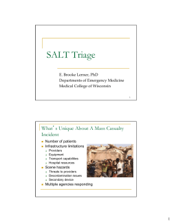 SALT Triage - the City of Racine