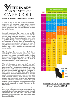 Signs Of Age-Related Disease In Senior Dogs