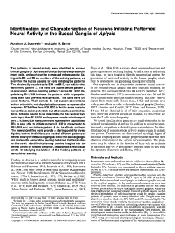 Identification and Characterization of Neurons Initiating Patterned