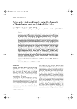 Origin and evolution of invasive naturalized material of