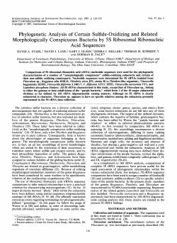 Phylogenetic Analysis of Certain Sulfide